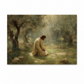 Jesus kneeling in prayer in a quiet olive garden, surrounded by soft light and trees, in a peaceful Christian art print